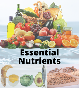 Essential Nutrients